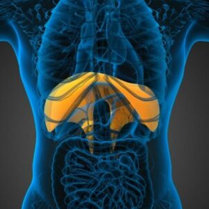 Pelvic Floor PT