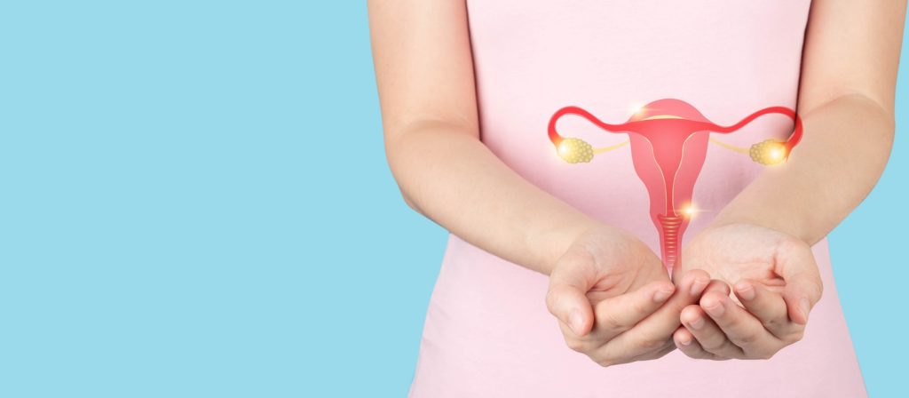 Female Reproductive System
